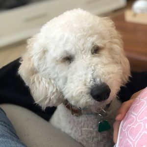 Meet your Posher, Kasey